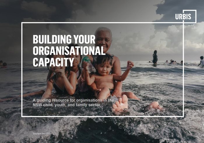 Building your Organisational Capacity Resource now available for the sector