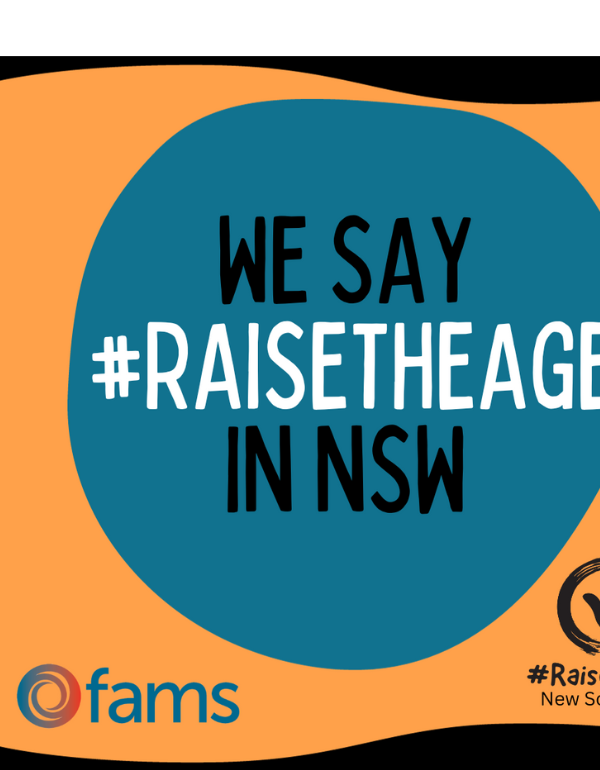 Together we can Raise The Age in NSW