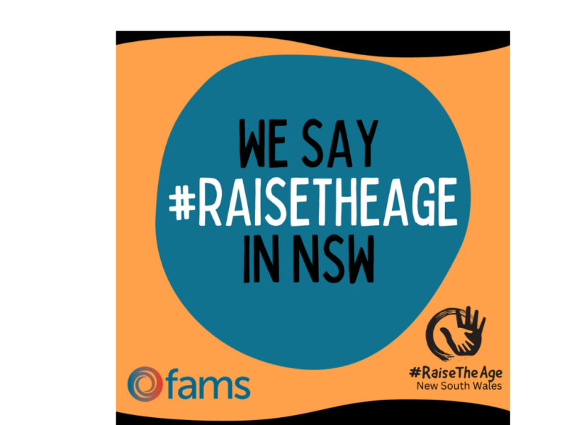 Together we can Raise The Age in NSW