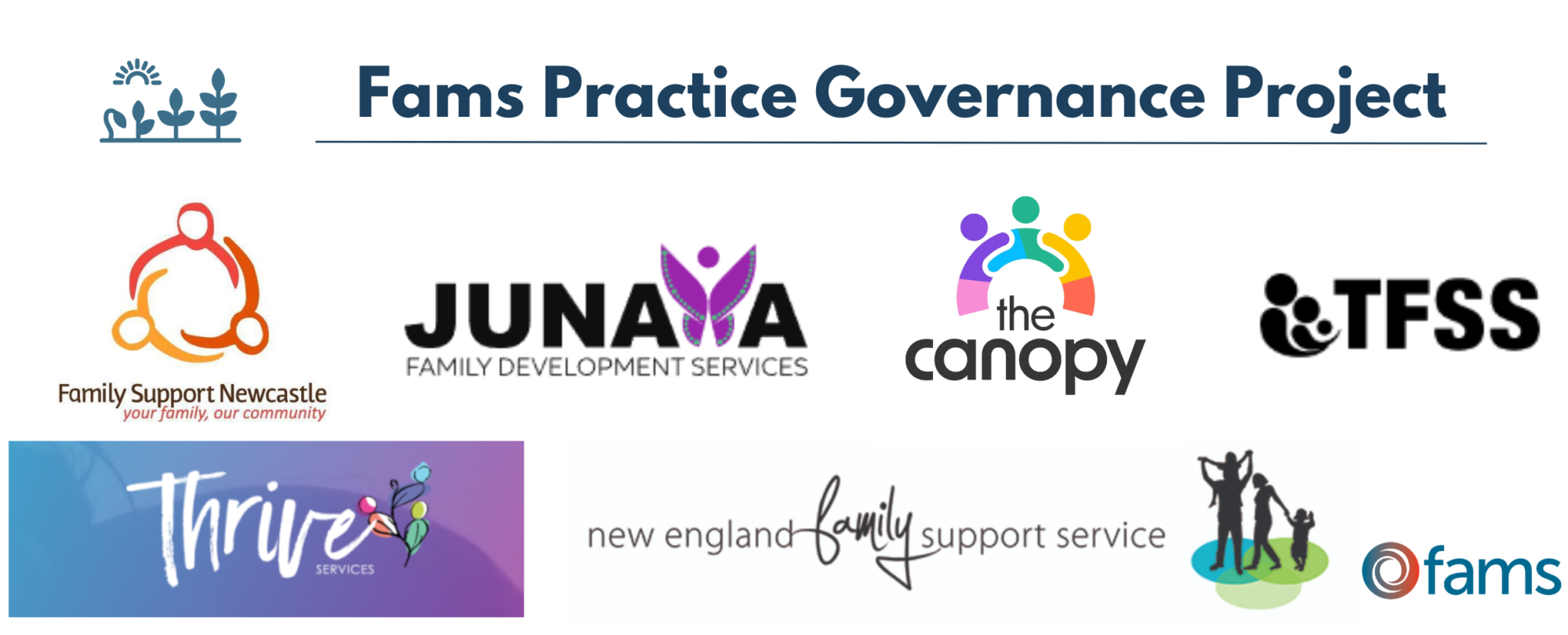 Introducing the Practice Governance project team!