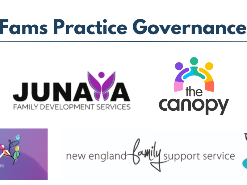 Introducing the Practice Governance project team!